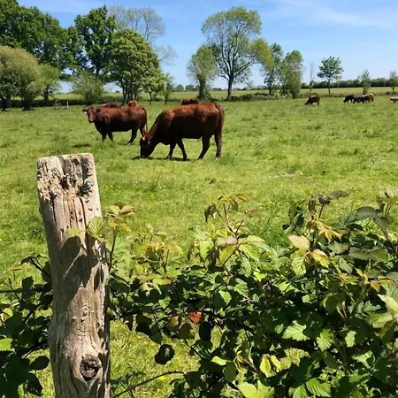 Le Verger - Le Plessis * Cuissai