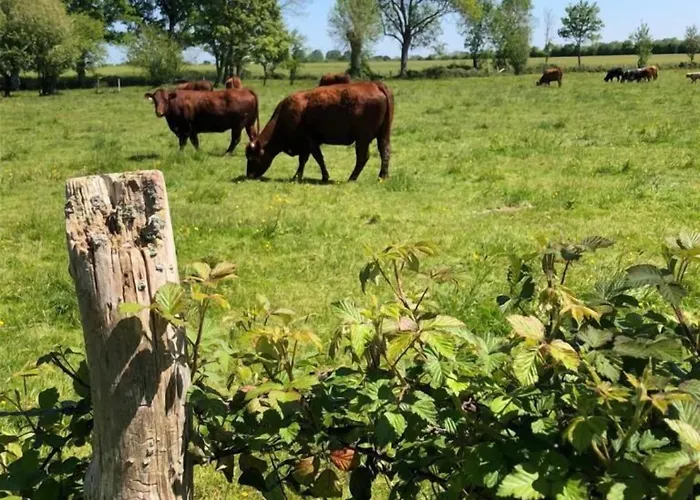 Le Verger - Le Plessis * Cuissai